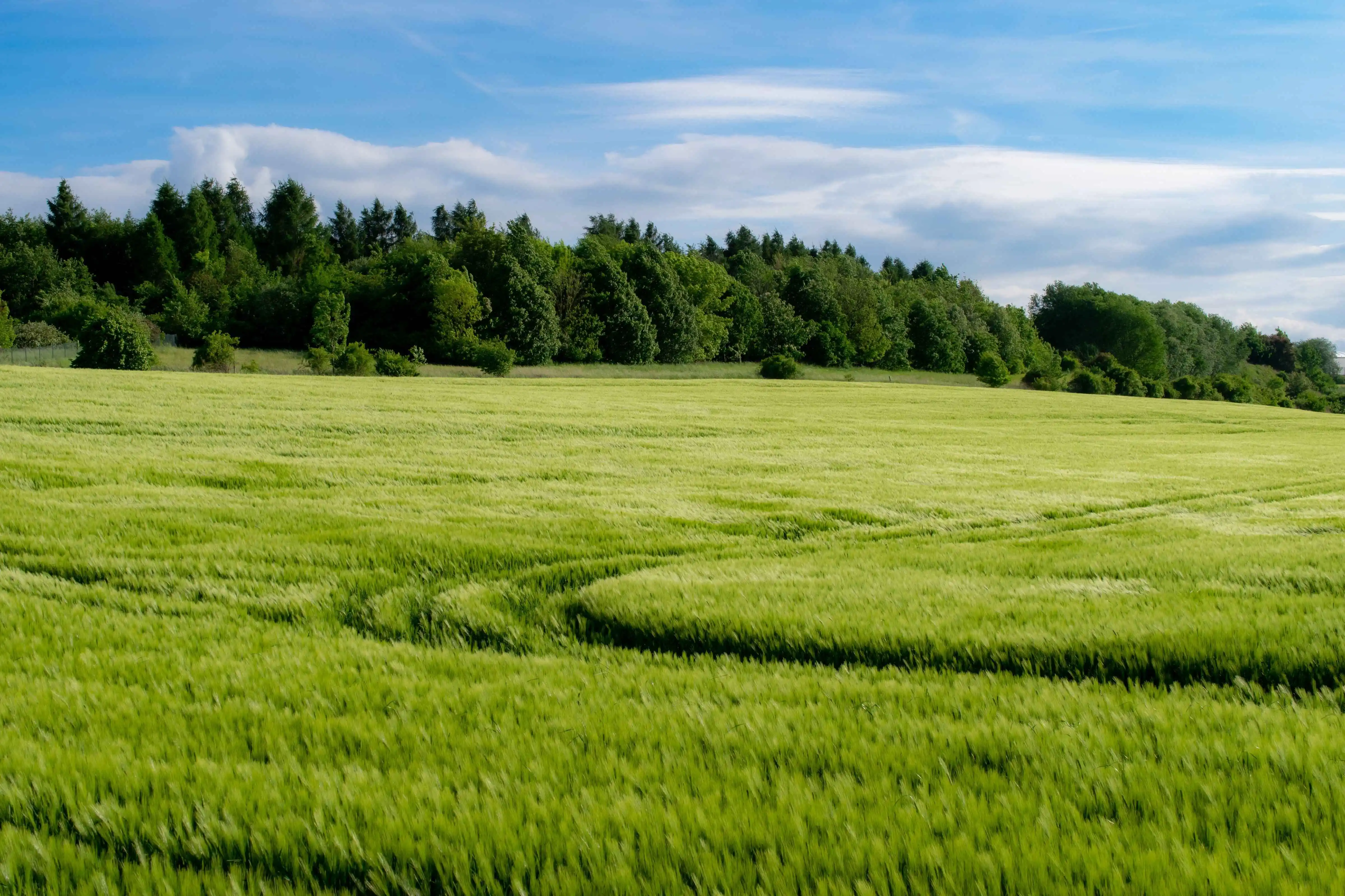 AB zemědělská a lesní